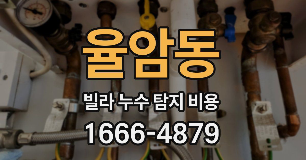 율암동 빌라 누수 탐지 비용