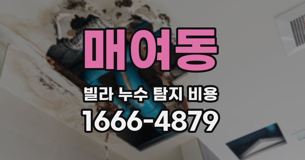 매여동 빌라 누수 탐지 비용
