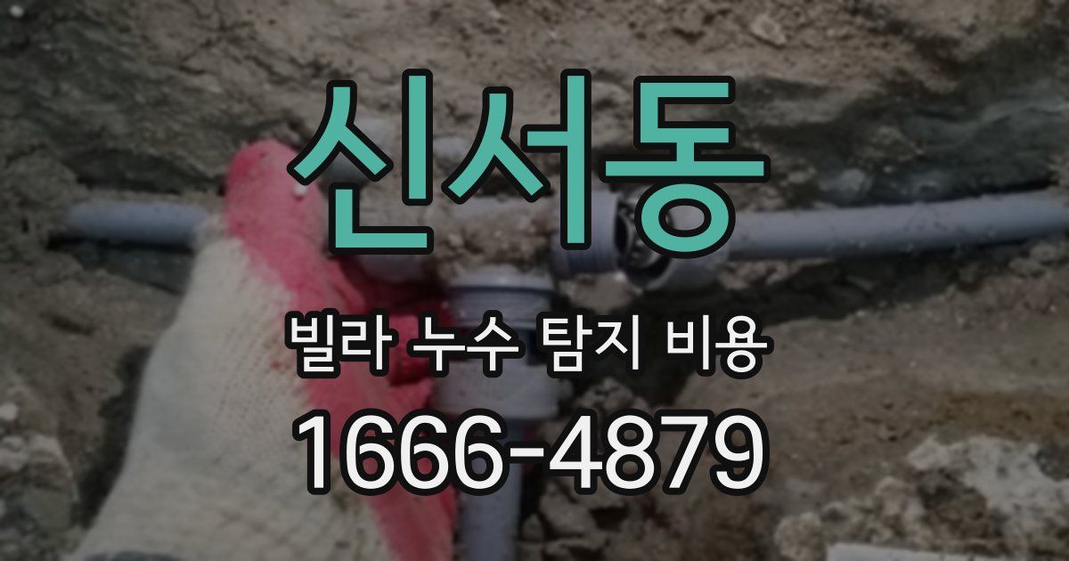 신서동 빌라 누수 탐지 비용
