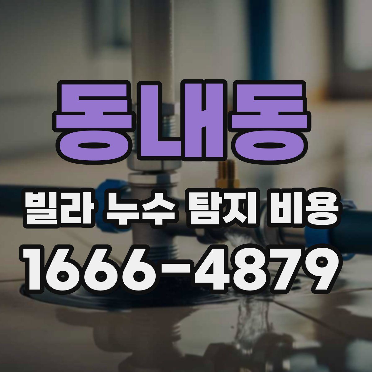 동내동 빌라 누수 탐지 비용