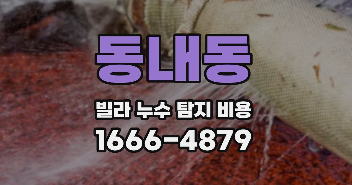 동내동 빌라 누수 탐지 비용