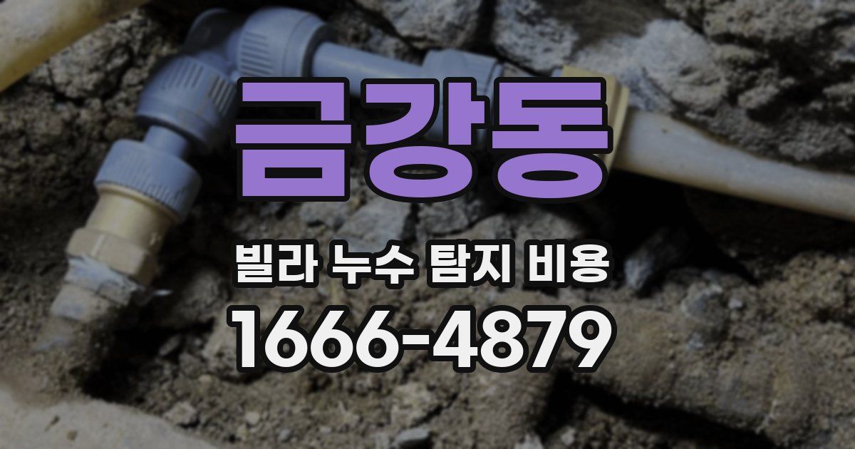 금강동 빌라 누수 탐지 비용