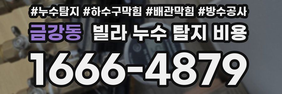 금강동 빌라 누수 탐지 비용