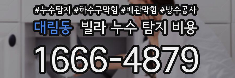 대림동 빌라 누수 탐지 비용