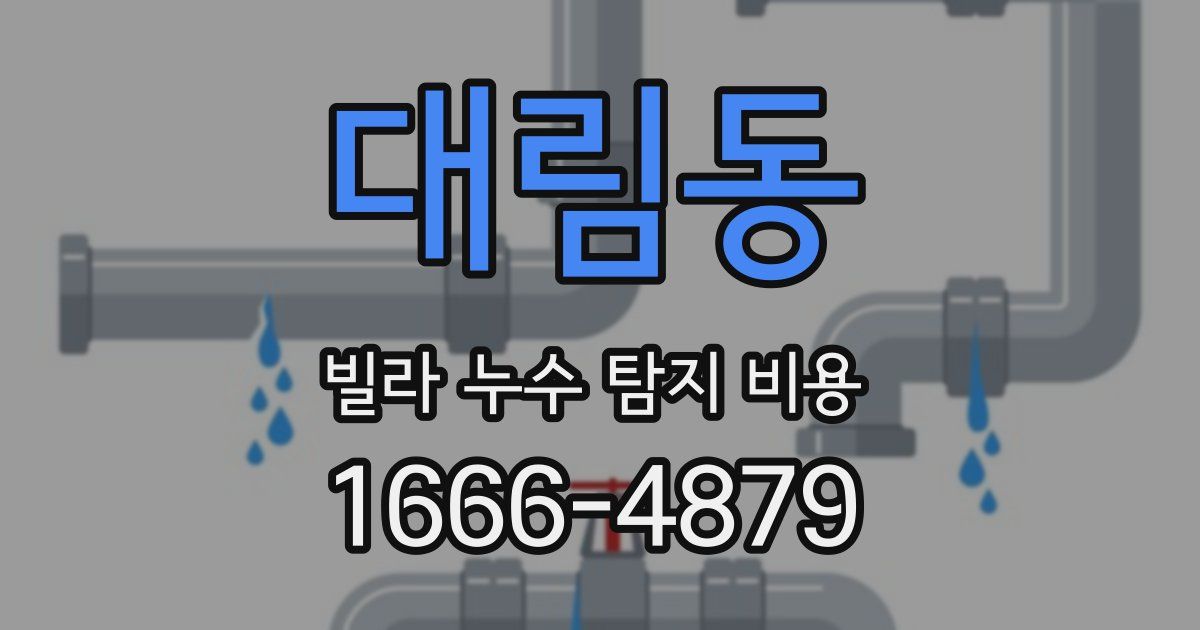 대림동 빌라 누수 탐지 비용