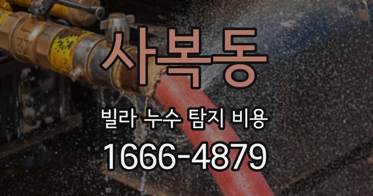 사복동 빌라 누수 탐지 비용
