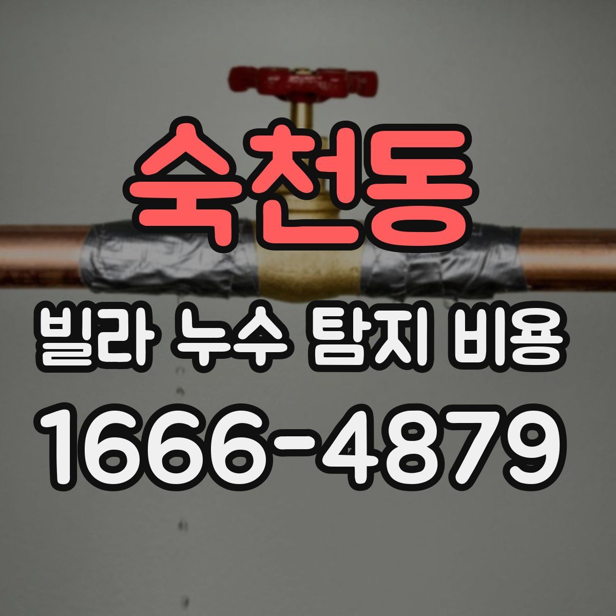 숙천동 빌라 누수 탐지 비용