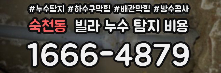 숙천동 빌라 누수 탐지 비용