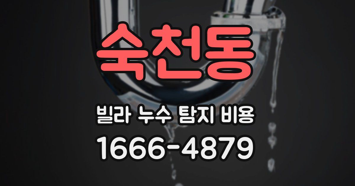 숙천동 빌라 누수 탐지 비용