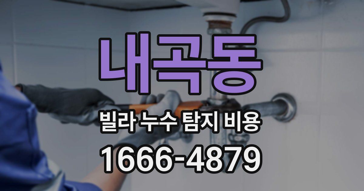 내곡동 빌라 누수 탐지 비용