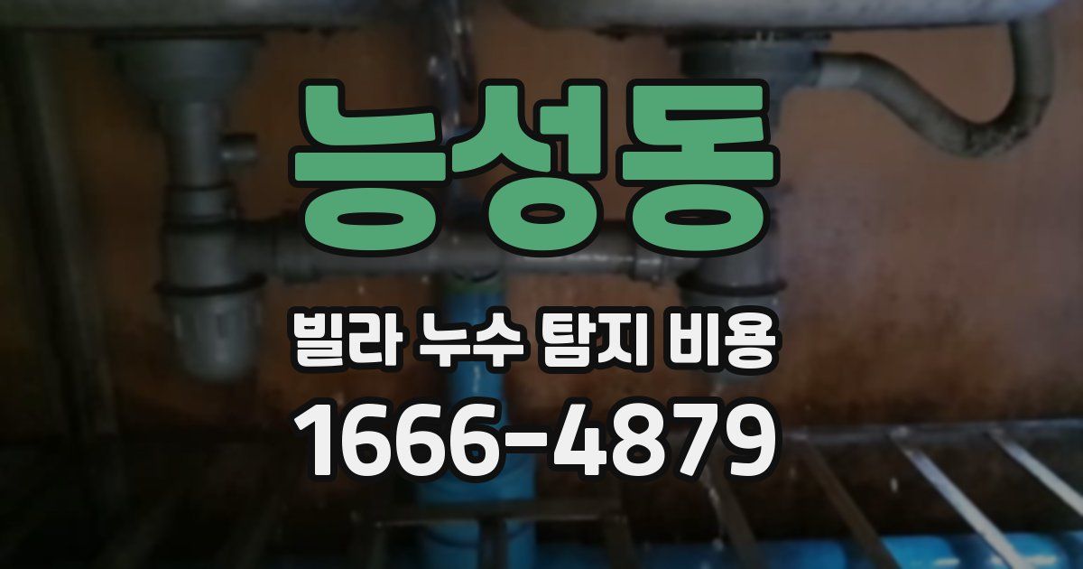 능성동 빌라 누수 탐지 비용