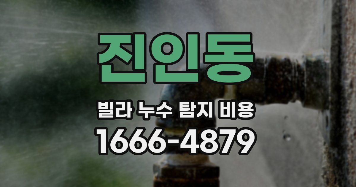진인동 빌라 누수 탐지 비용
