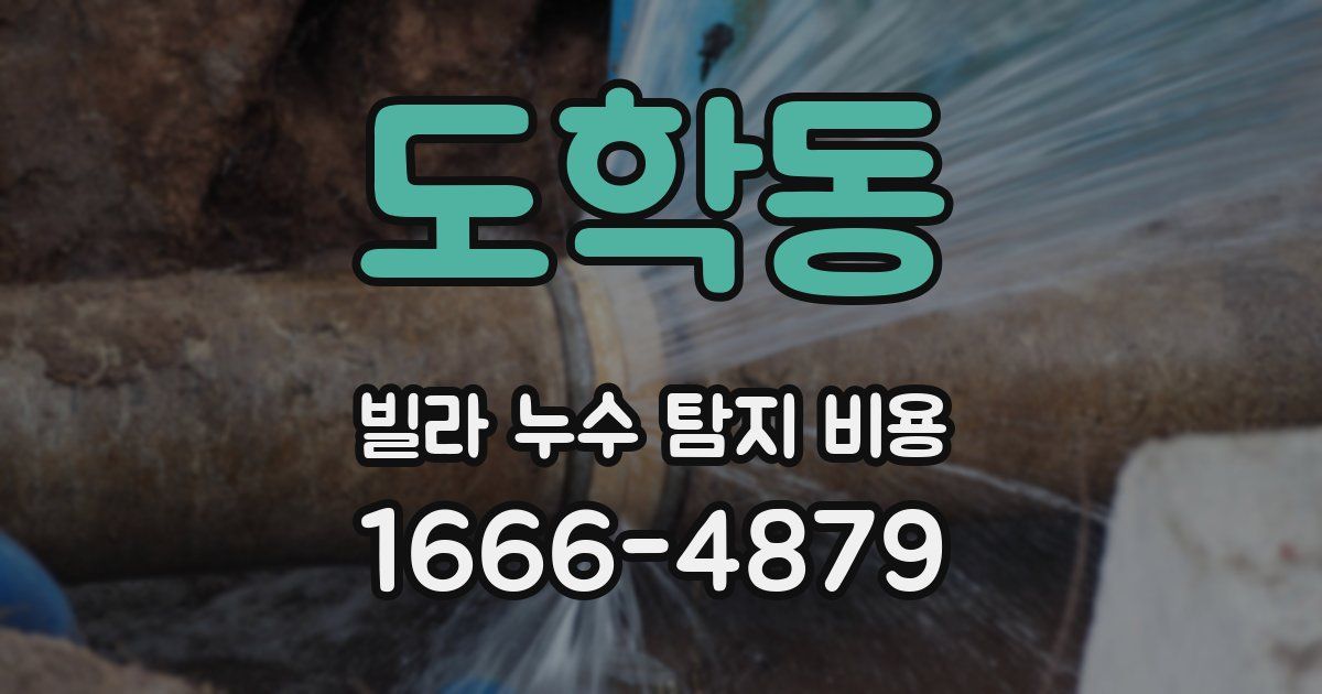 도학동 빌라 누수 탐지 비용