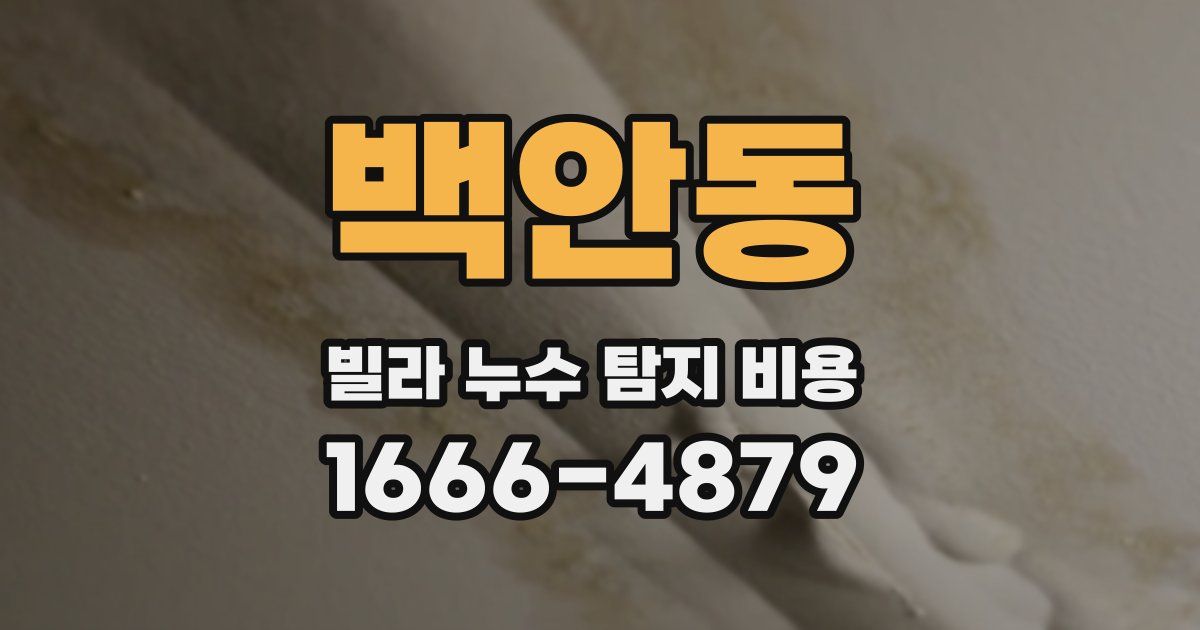 백안동 빌라 누수 탐지 비용