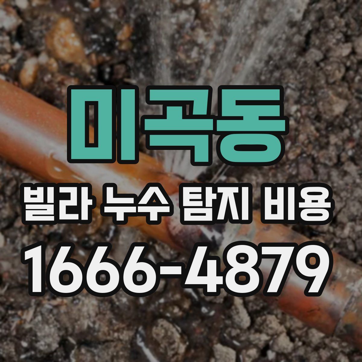 미곡동 빌라 누수 탐지 비용