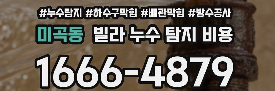 미곡동 빌라 누수 탐지 비용