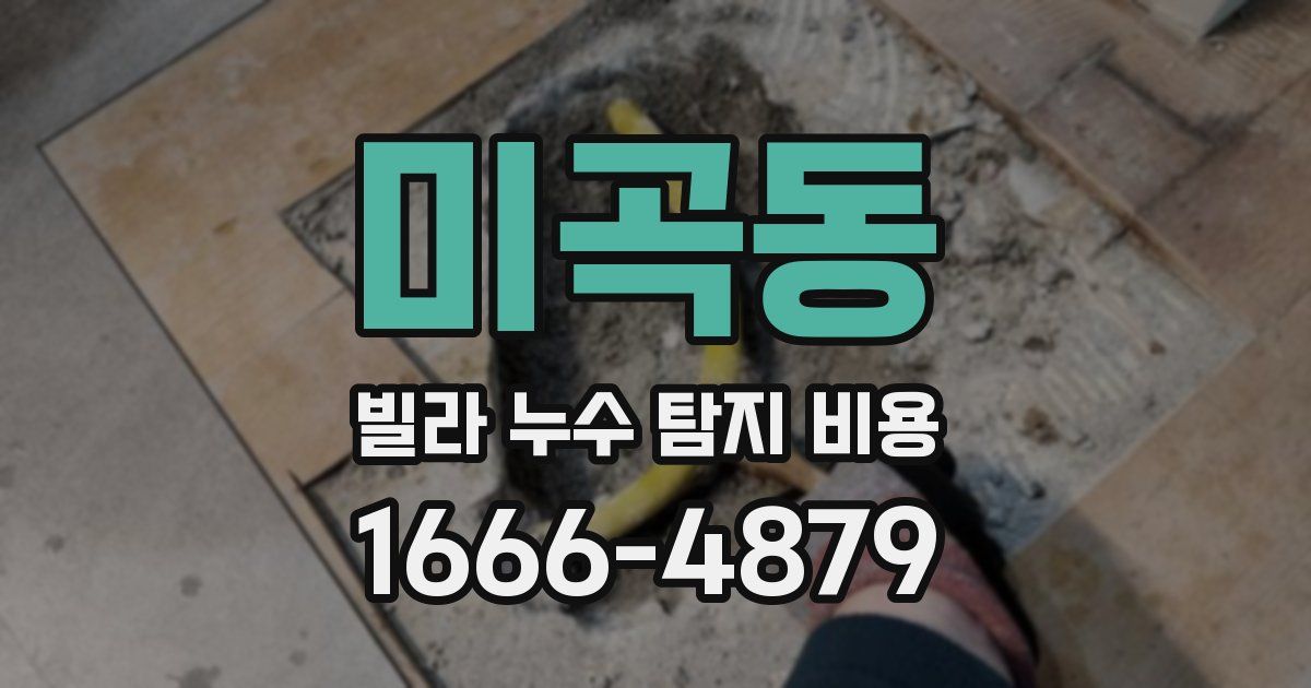 미곡동 빌라 누수 탐지 비용
