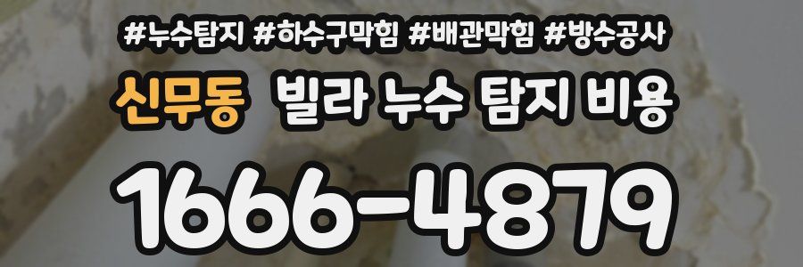신무동 빌라 누수 탐지 비용