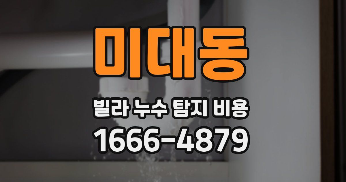 미대동 빌라 누수 탐지 비용