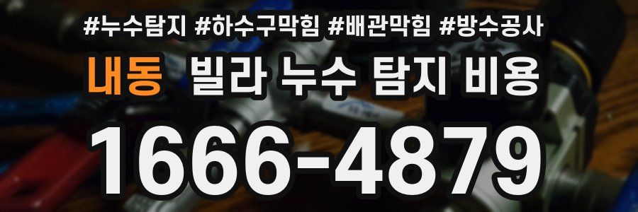 내동 빌라 누수 탐지 비용