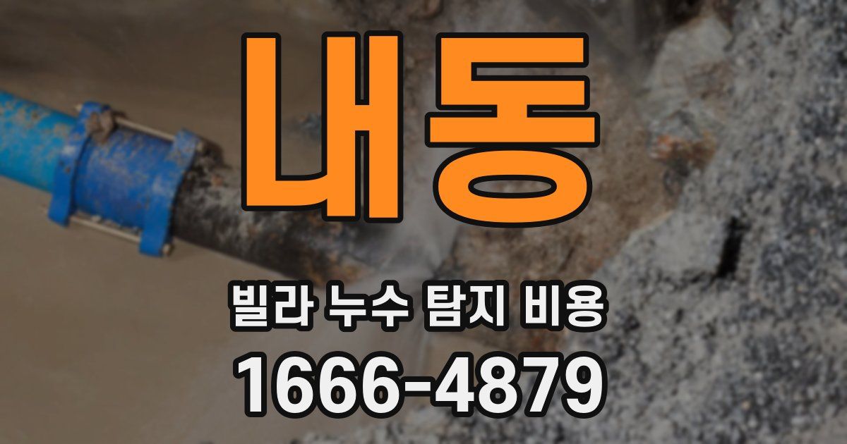 내동 빌라 누수 탐지 비용