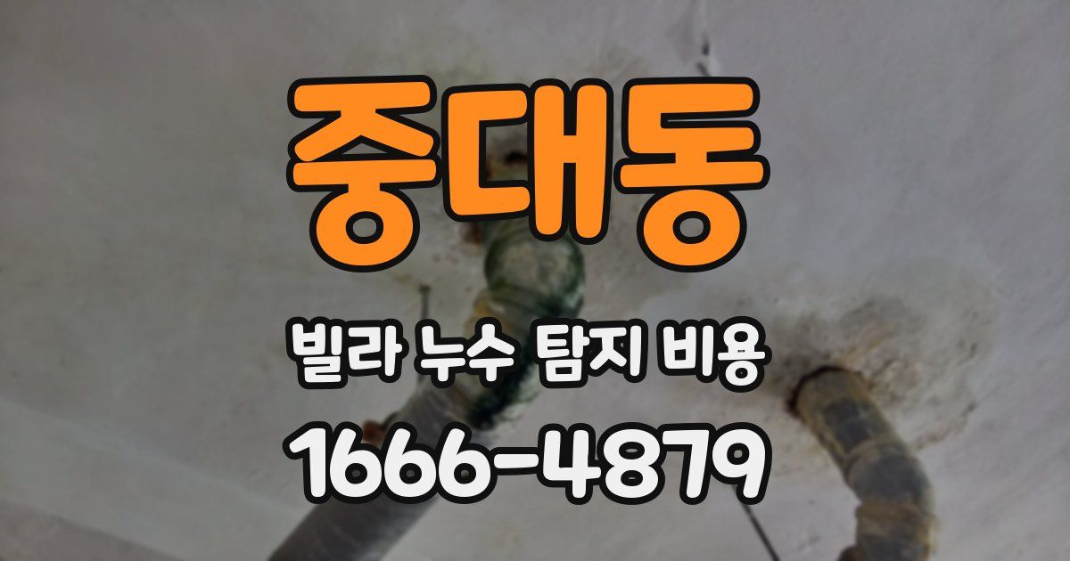 중대동 빌라 누수 탐지 비용