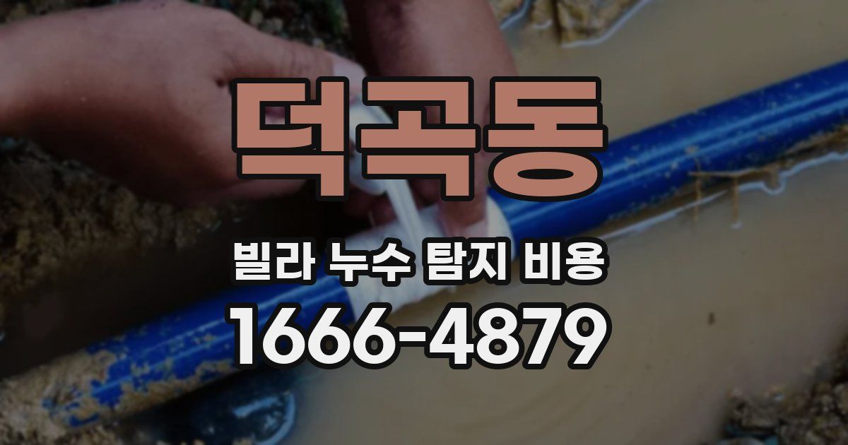 덕곡동 빌라 누수 탐지 비용