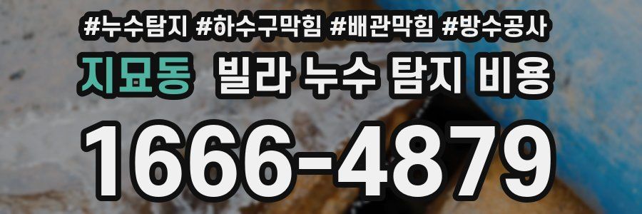 지묘동 빌라 누수 탐지 비용