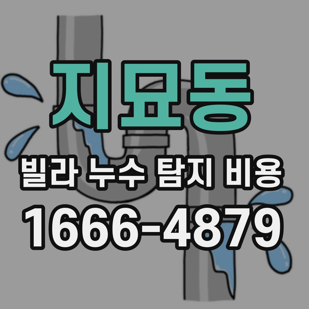 지묘동 빌라 누수 탐지 비용