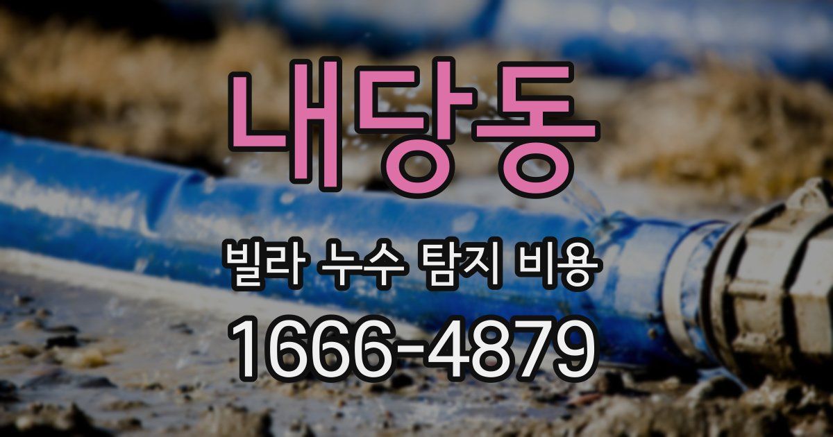 내당동 빌라 누수 탐지 비용