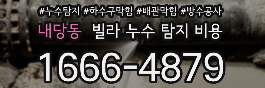 내당동 빌라 누수 탐지 비용