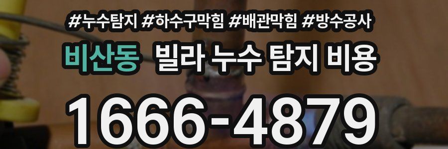 비산동 빌라 누수 탐지 비용