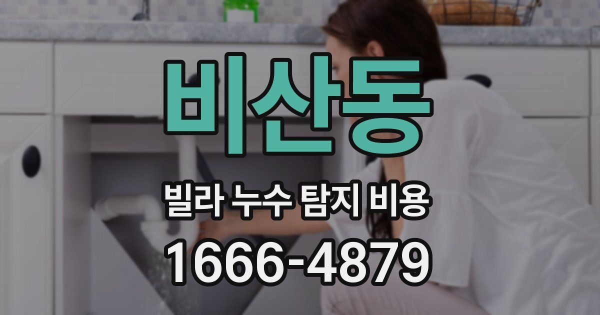 비산동 빌라 누수 탐지 비용