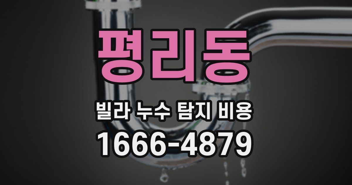 평리동 빌라 누수 탐지 비용