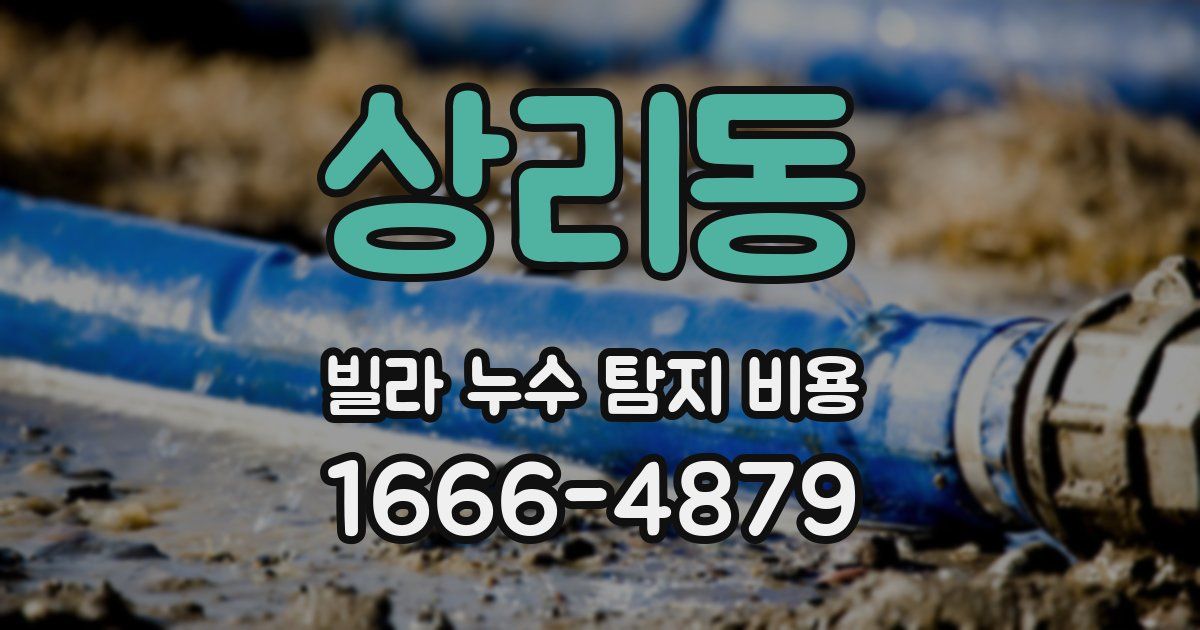 상리동 빌라 누수 탐지 비용