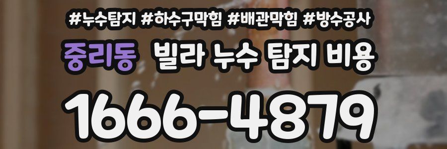 중리동 빌라 누수 탐지 비용