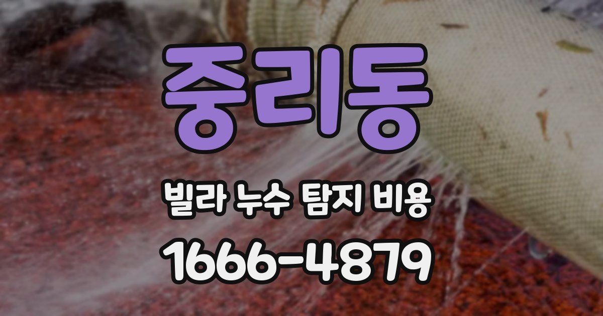 중리동 빌라 누수 탐지 비용