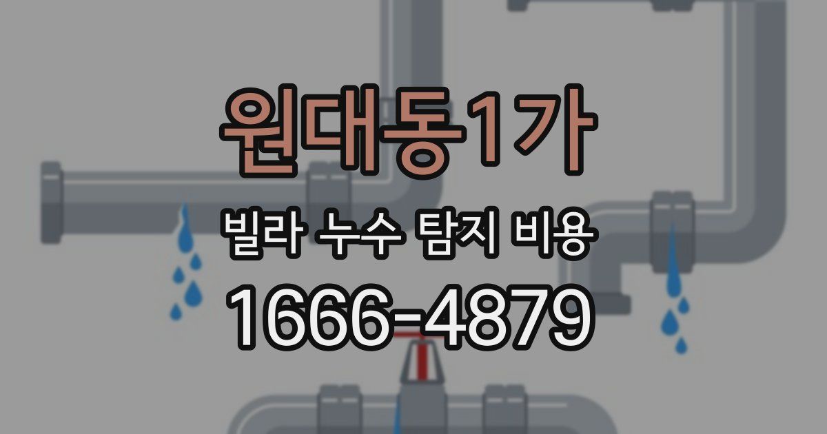 원대동1가 빌라 누수 탐지 비용