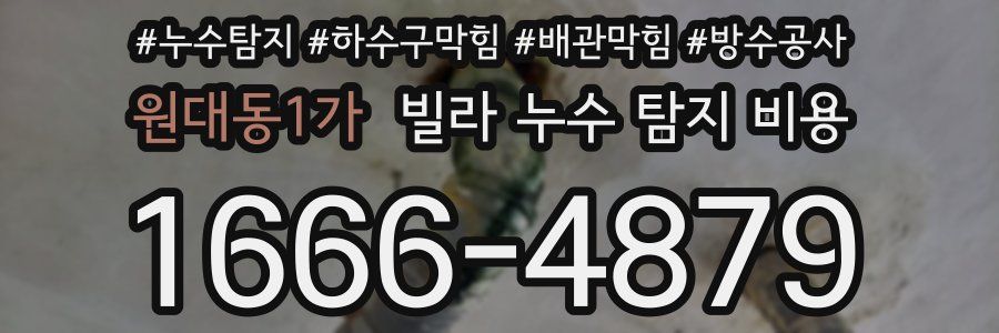 원대동1가 빌라 누수 탐지 비용