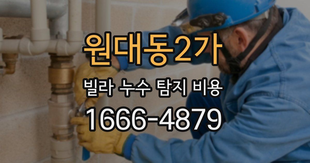 원대동2가 빌라 누수 탐지 비용