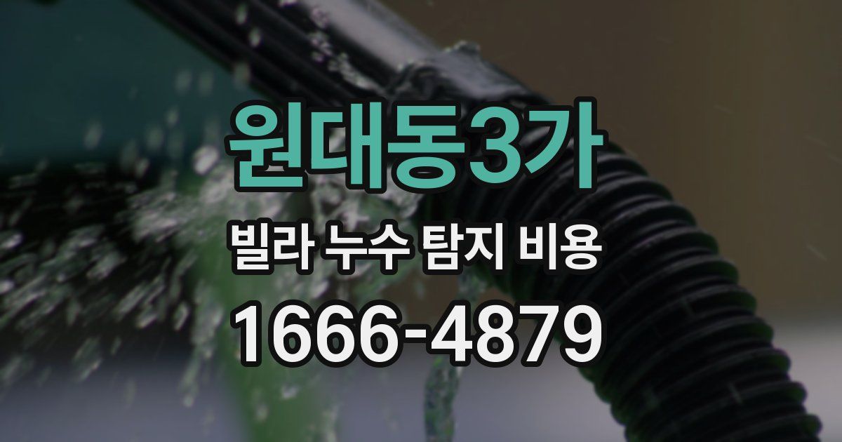 원대동3가 빌라 누수 탐지 비용