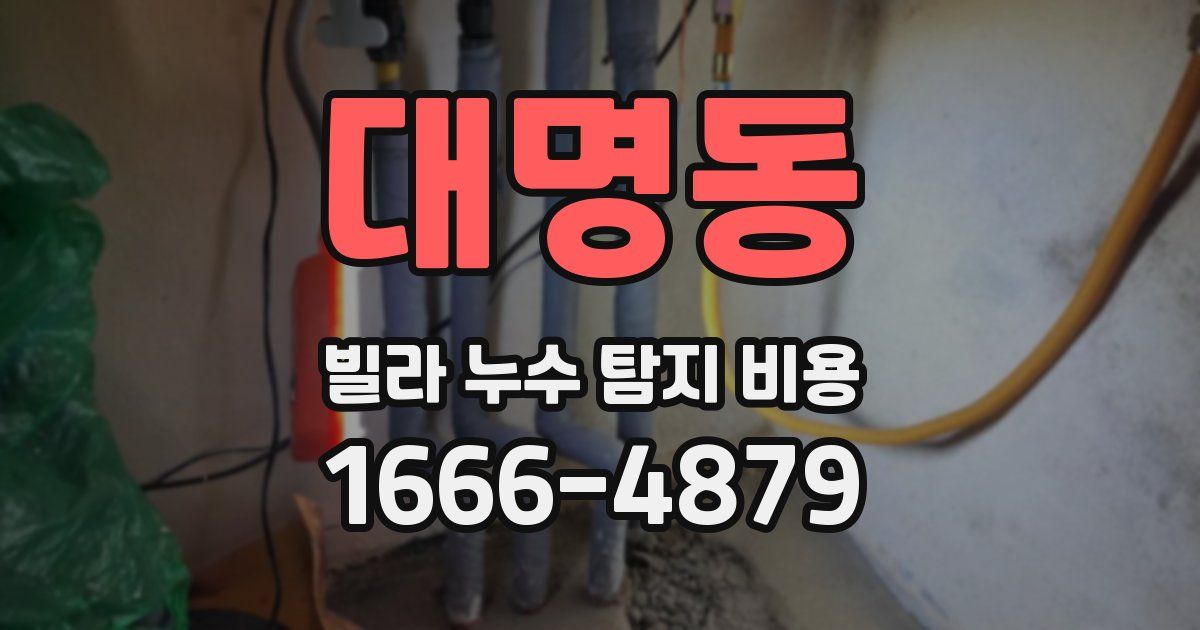 대명동 빌라 누수 탐지 비용