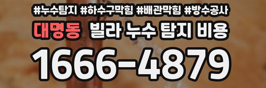 대명동 빌라 누수 탐지 비용