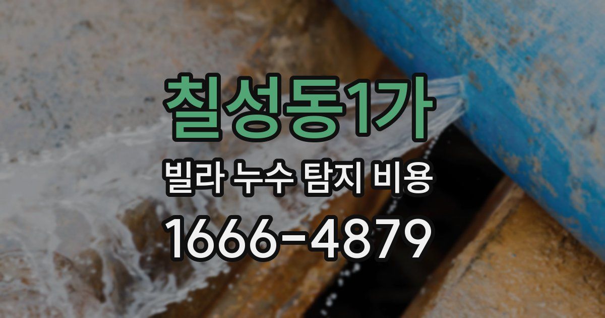 칠성동1가 빌라 누수 탐지 비용