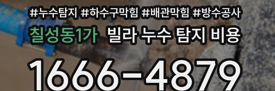 칠성동1가 빌라 누수 탐지 비용