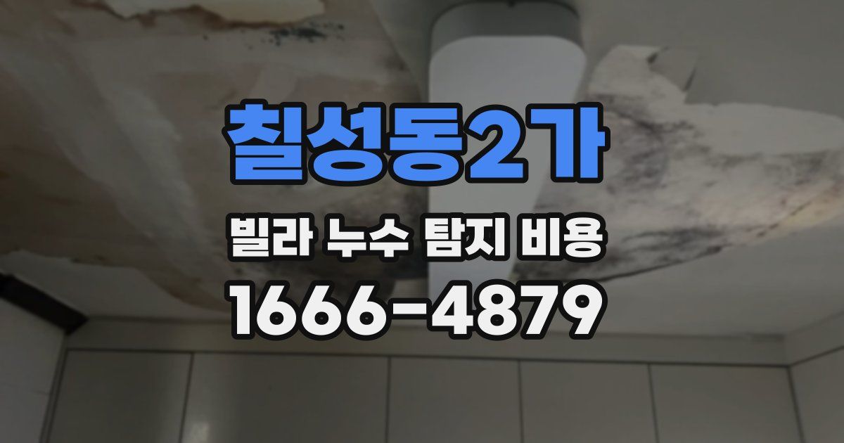 칠성동2가 빌라 누수 탐지 비용
