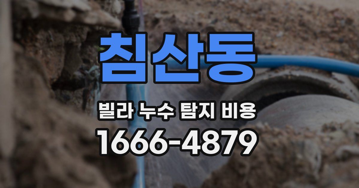 침산동 빌라 누수 탐지 비용