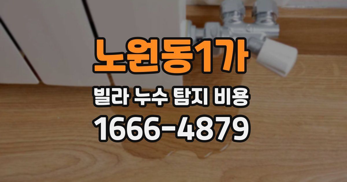 노원동1가 빌라 누수 탐지 비용