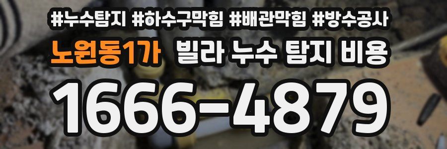노원동1가 빌라 누수 탐지 비용