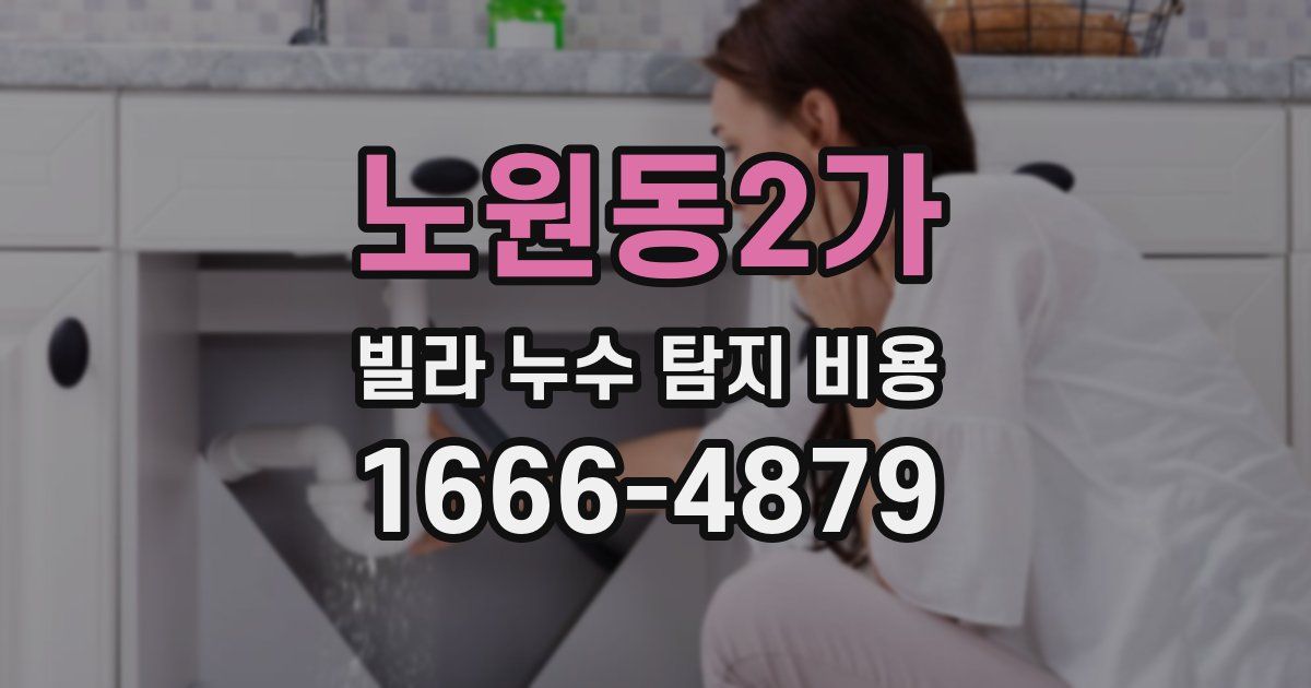 노원동2가 빌라 누수 탐지 비용